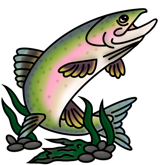 Trout Fish Illustration 